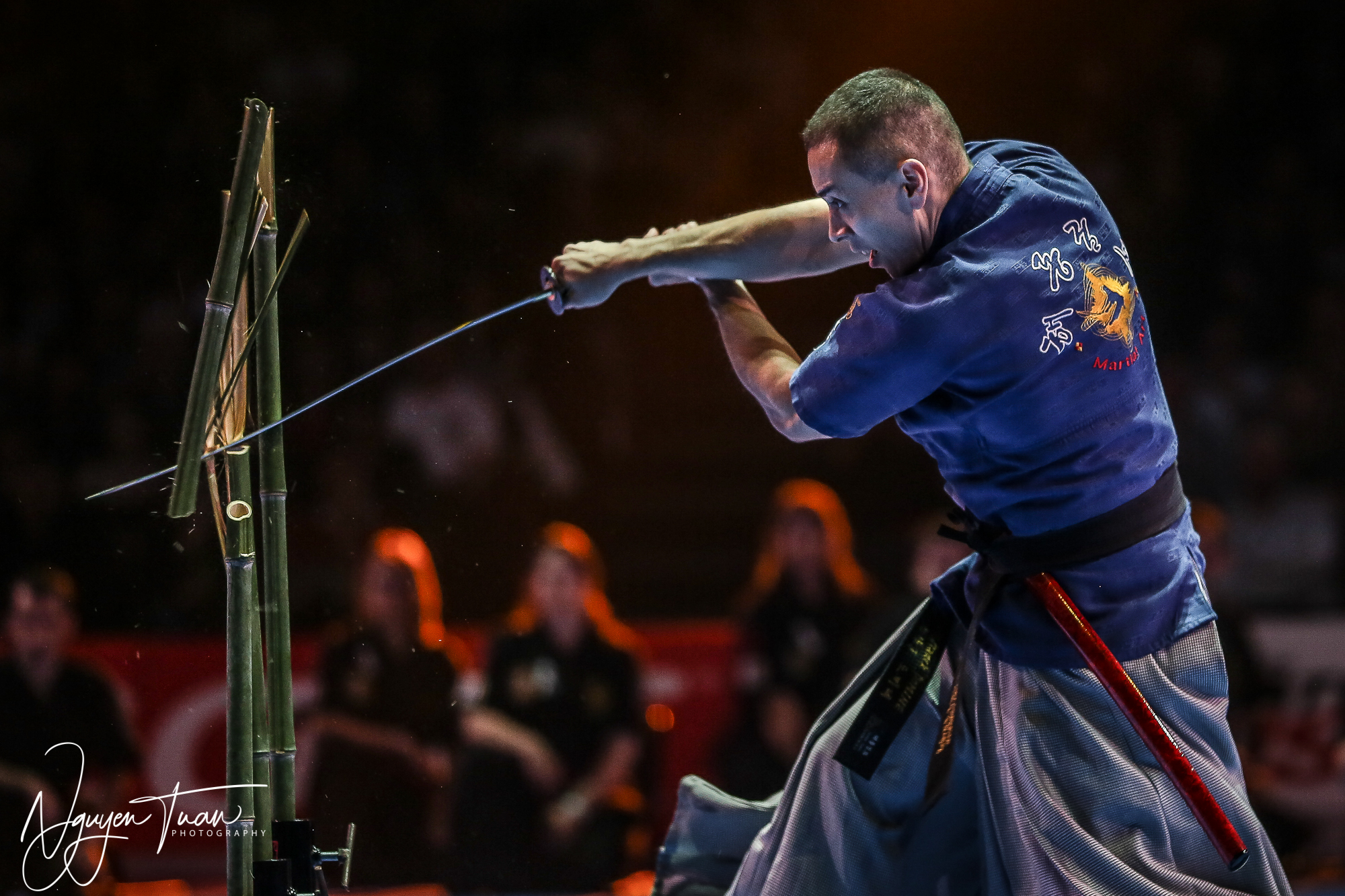 20190324 Festival des Arts Martiaux 3551 2